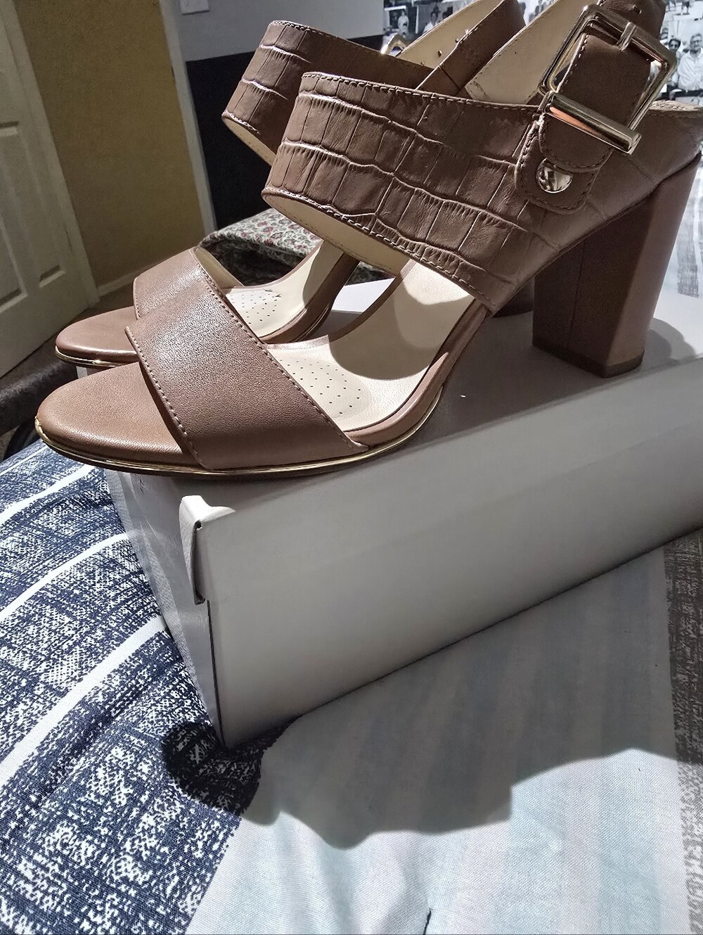 Croc-Embossed Taupe Block Heel Sandals with Buckle Strap